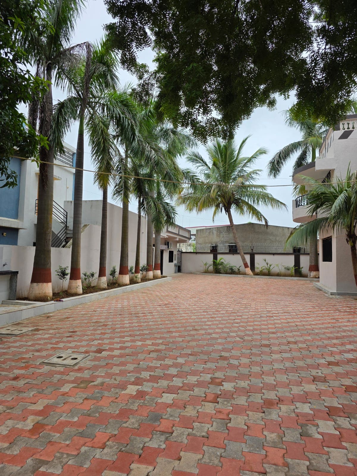 Shree Krishna Resort pool and grounds